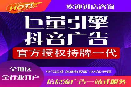 揭秘SEM竞价托管：实战案例深度解析